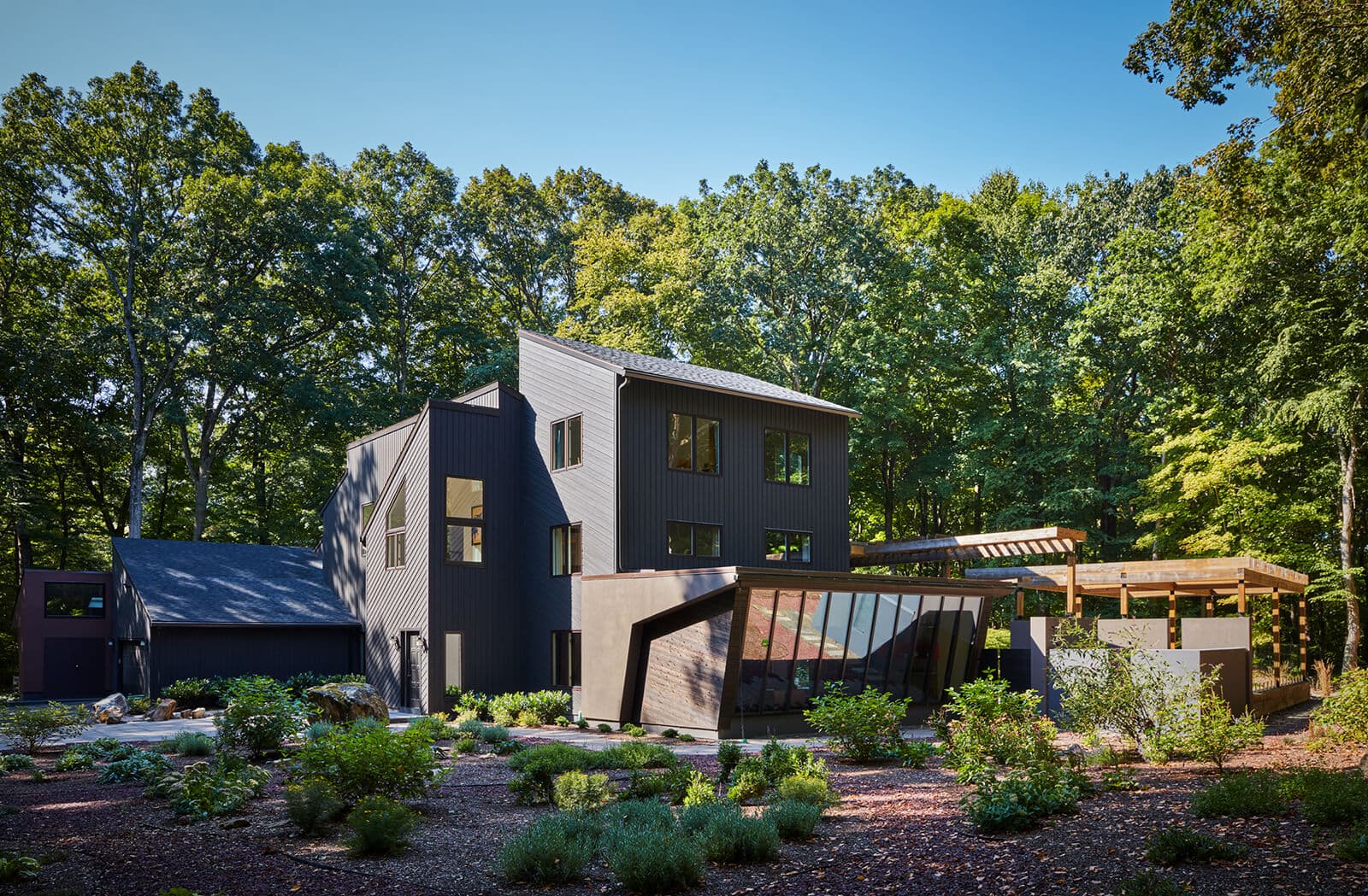 Modern Woodland Retreat